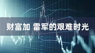 财富加 雷军的艰难时光