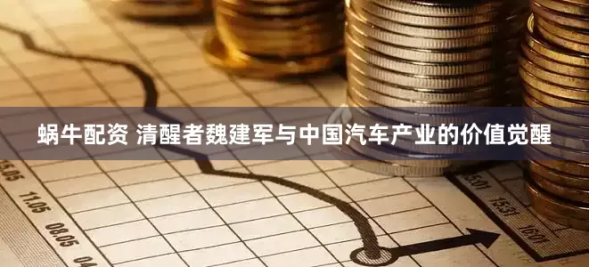 蜗牛配资 清醒者魏建军与中国汽车产业的价值觉醒
