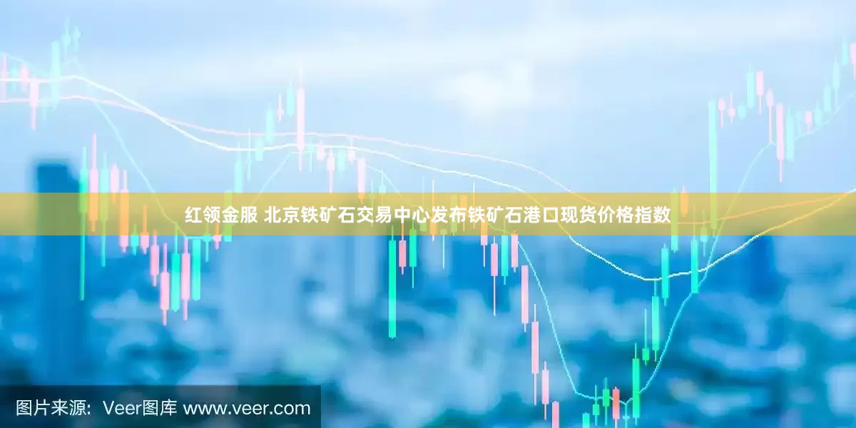 红领金服 北京铁矿石交易中心发布铁矿石港口现货价格指数