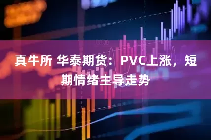 真牛所 华泰期货：PVC上涨，短期情绪主导走势